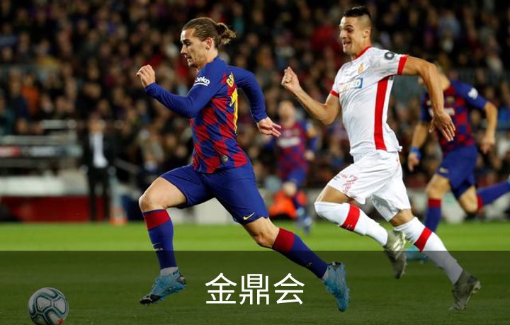 走进金鼎会